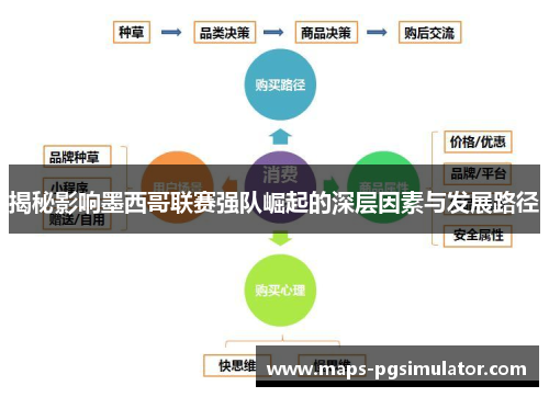 揭秘影响墨西哥联赛强队崛起的深层因素与发展路径