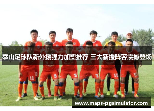 泰山足球队新外援强力加盟推荐 三大新援阵容震撼登场