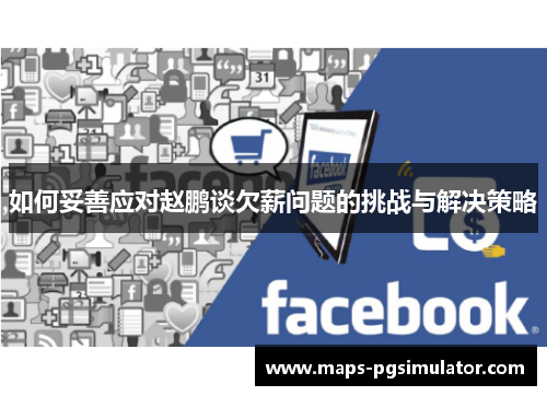 如何妥善应对赵鹏谈欠薪问题的挑战与解决策略
