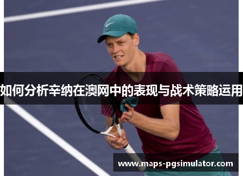 如何分析辛纳在澳网中的表现与战术策略运用