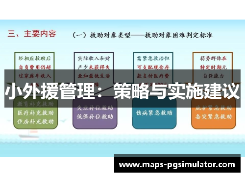 小外援管理：策略与实施建议