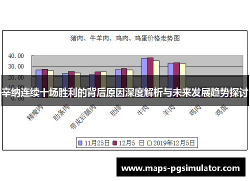 辛纳连续十场胜利的背后原因深度解析与未来发展趋势探讨