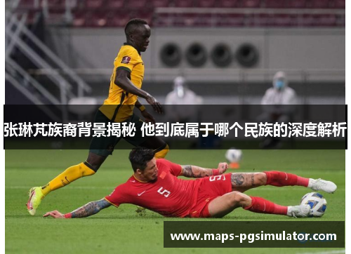 张琳芃族裔背景揭秘 他到底属于哪个民族的深度解析