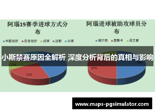 小斯禁赛原因全解析 深度分析背后的真相与影响