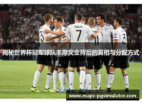 揭秘世界杯冠军球队丰厚奖金背后的真相与分配方式