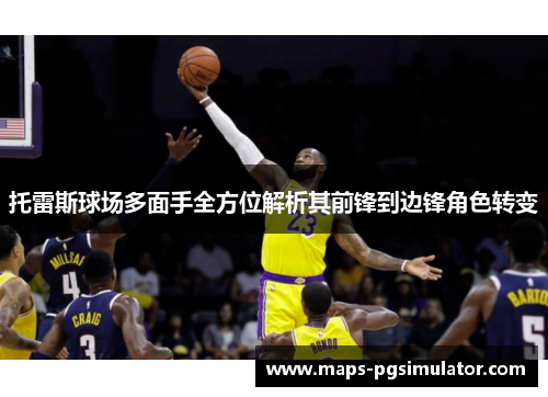 托雷斯球场多面手全方位解析其前锋到边锋角色转变