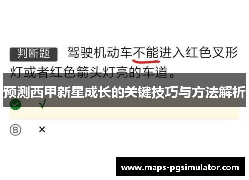 预测西甲新星成长的关键技巧与方法解析
