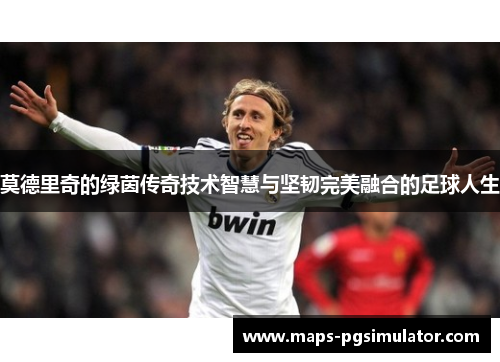 莫德里奇的绿茵传奇技术智慧与坚韧完美融合的足球人生