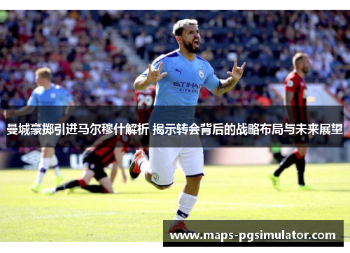 曼城豪掷引进马尔穆什解析 揭示转会背后的战略布局与未来展望